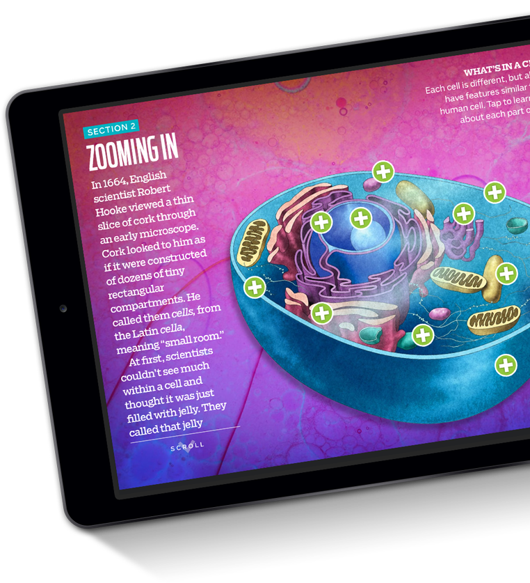 Kids Discover App on iPad