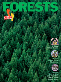 KD2: Forests