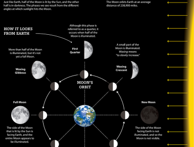 Infographic: Phases of the Moon