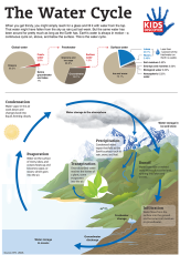 Infographic: The Water Cycle