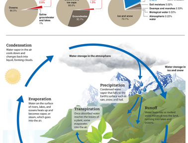Infographic: The Water Cycle