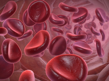 What’s in Blood? A Look at Types of Blood Cells