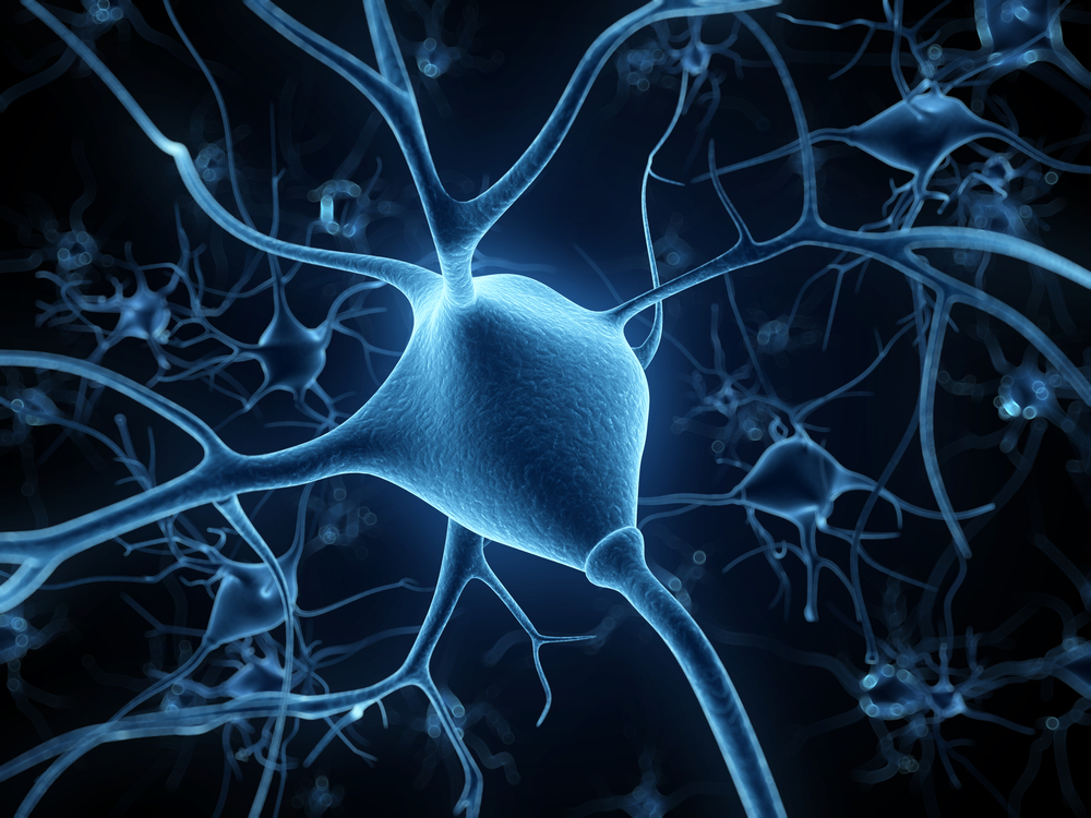 How Do Nerve Cells Send Electrical Signals