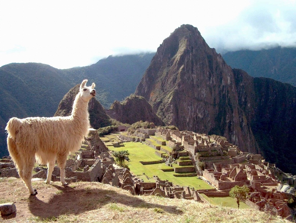 Spotlight: Machu Picchu - KIDS DISCOVER