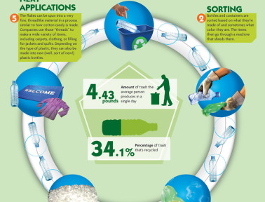 Infographic: How a Bottle Gets Recycled