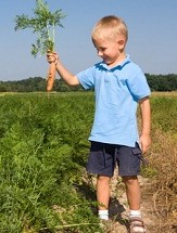 Great Plants for Kids to Grow