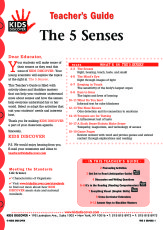 senses worksheet for kindergarten 5  Senses  Discover Kids