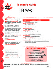 Bees - Kids Discover