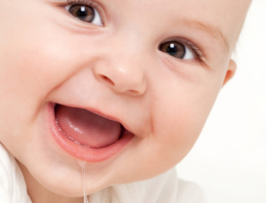 Why Babies Drool