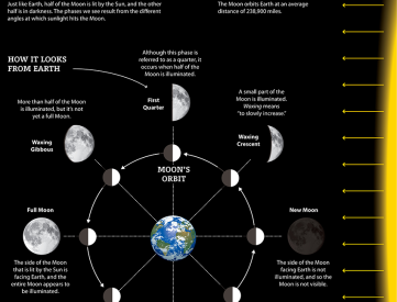 Infographics Archive - Page 4 of 5 - Kids Discover