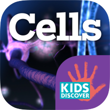 Cells for iPad