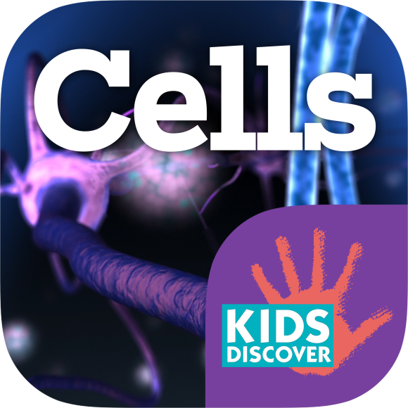 Cells - Kids Discover