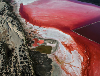 Pink Hutt Lagoon
