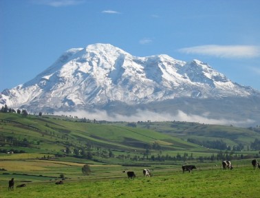 The Tallest Surprise