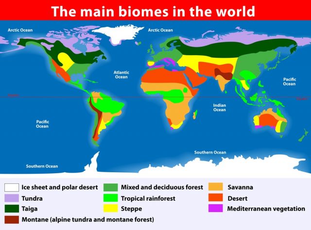 Biomes - Kids Discover