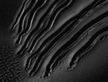 Snowboarding on Mars