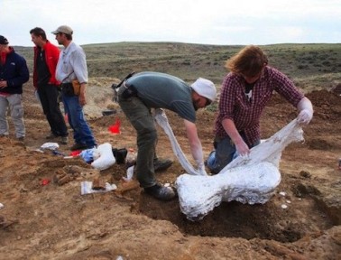 Good to the Last Skull