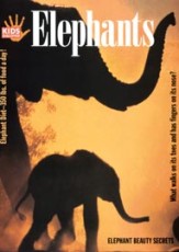 Elephants - Kids Discover