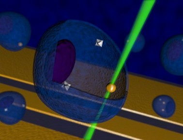 Shine On, Tiny Diamonds