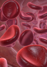 What’s in Blood? A Look at Types of Blood Cells