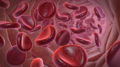 What's in Blood? A Look at Types of Blood Cells - Kids Discover