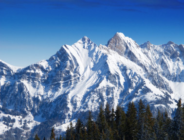 The Winter of Terror!