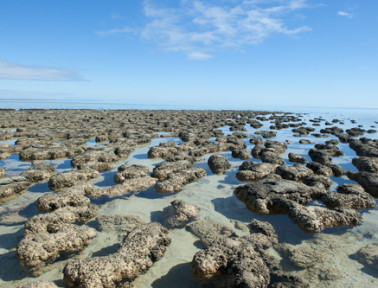 Window on the Ancient World