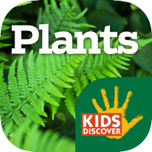 Plants for iPad