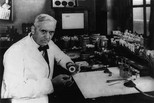 Penicillin Who Found This Functional Fungus Kids Discover   Alexander Fleming 