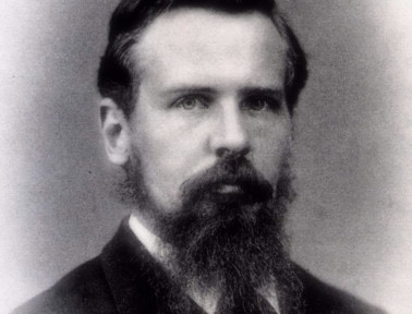 Islands in the Pancreas