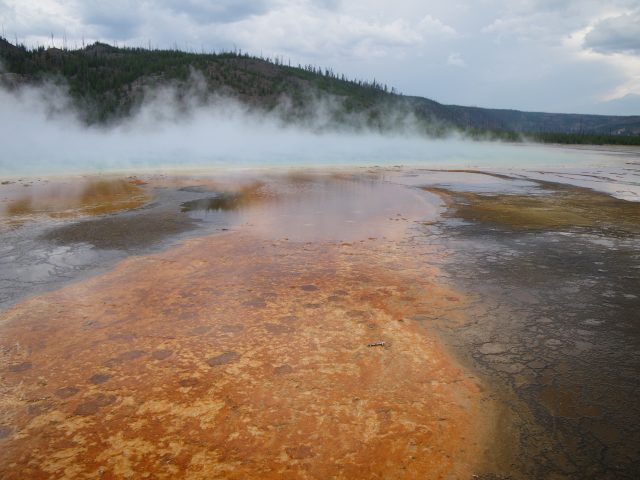 Yellowstone's Hot Springs