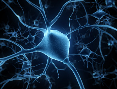 The Long and Short of Neurons