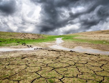 Drought Land Water Crisis