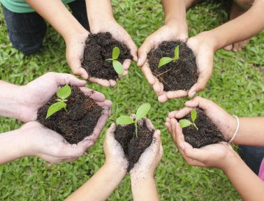 Kids and Soil