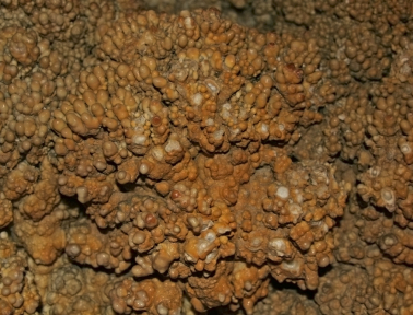 Don’t Eat Cave Popcorn