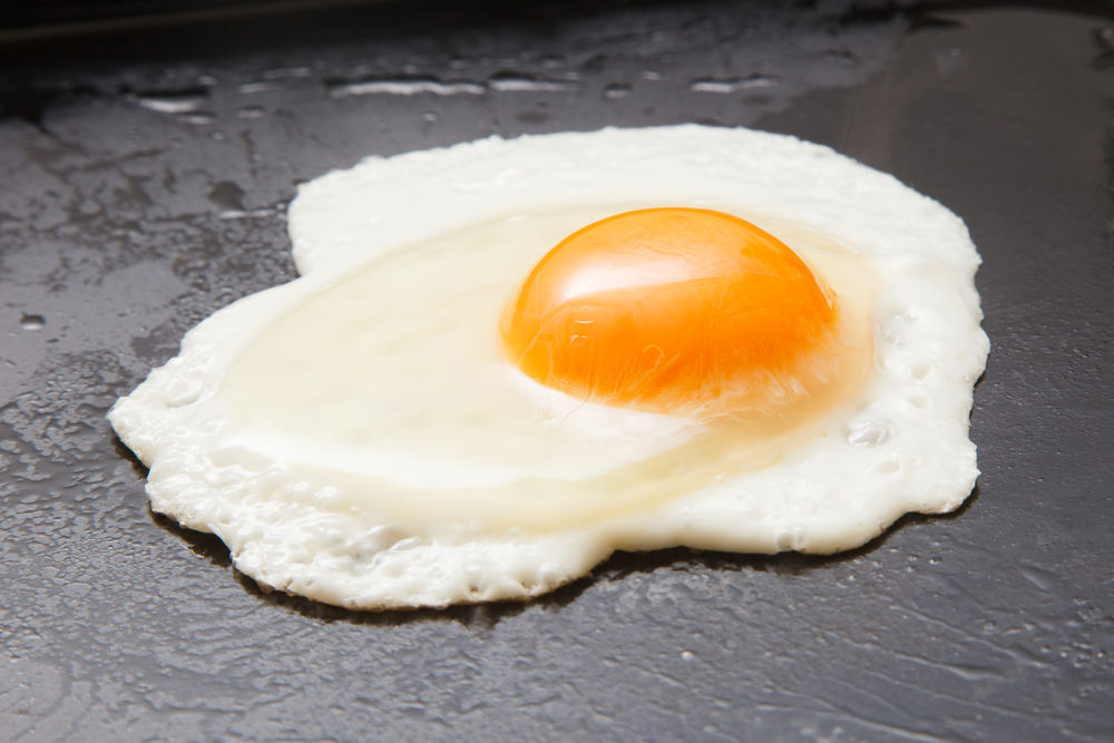 are fried eggs good for dogs