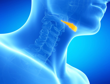 It Holds Your Tongue