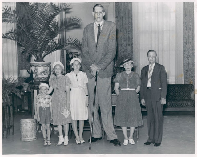 the tallest man in the world ever