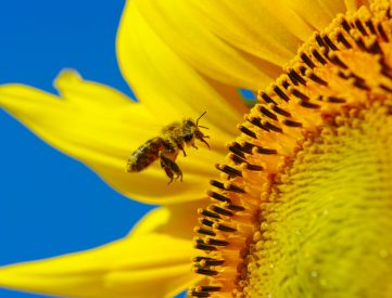 Earth Science Archives - Kids Discover