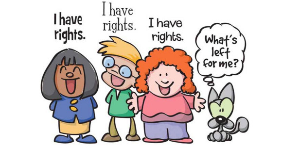 bill of rights - Kids Discover