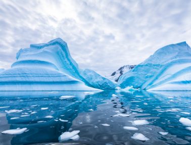 Cross-Curricular Lessons on Antarctica