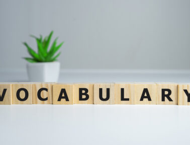 The Importance of Vocabulary Instruction