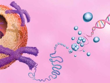 The Coolest Biology Discoveries Enabled by AI (So Far)